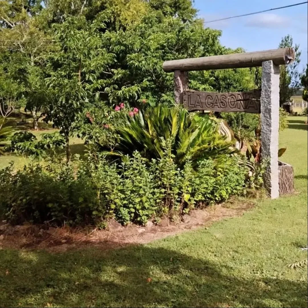 Chacra en Ansina, propiedad 233934 -Imagen 3