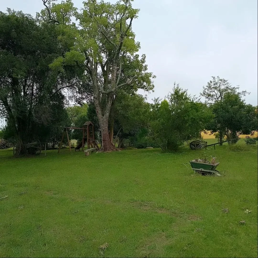 Chacra en Ansina, propiedad 233934 -Imagen 4