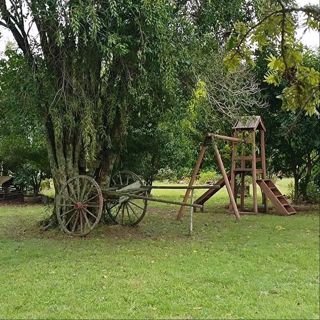 Chacra en Ansina, propiedad 233934 -Imagen 5