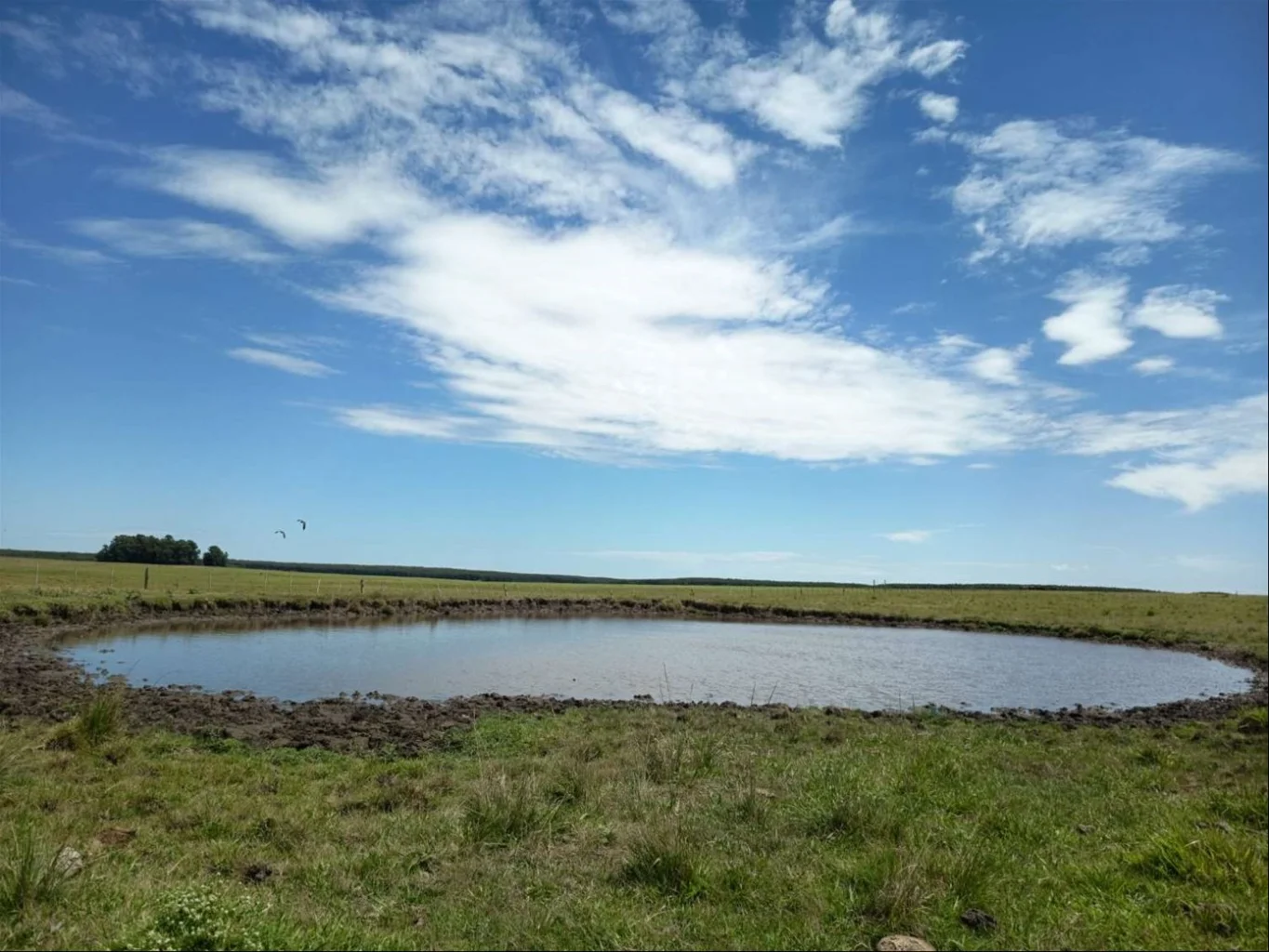 Campo en Carlos Reyles, propiedad 266961 -Imagen 2