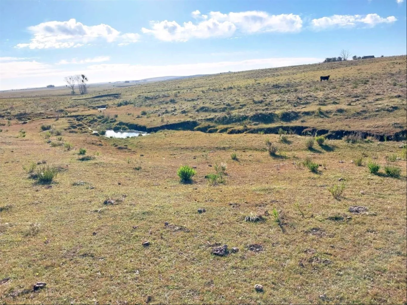Campo en Piraraja, propiedad 285508 -Imagen 2