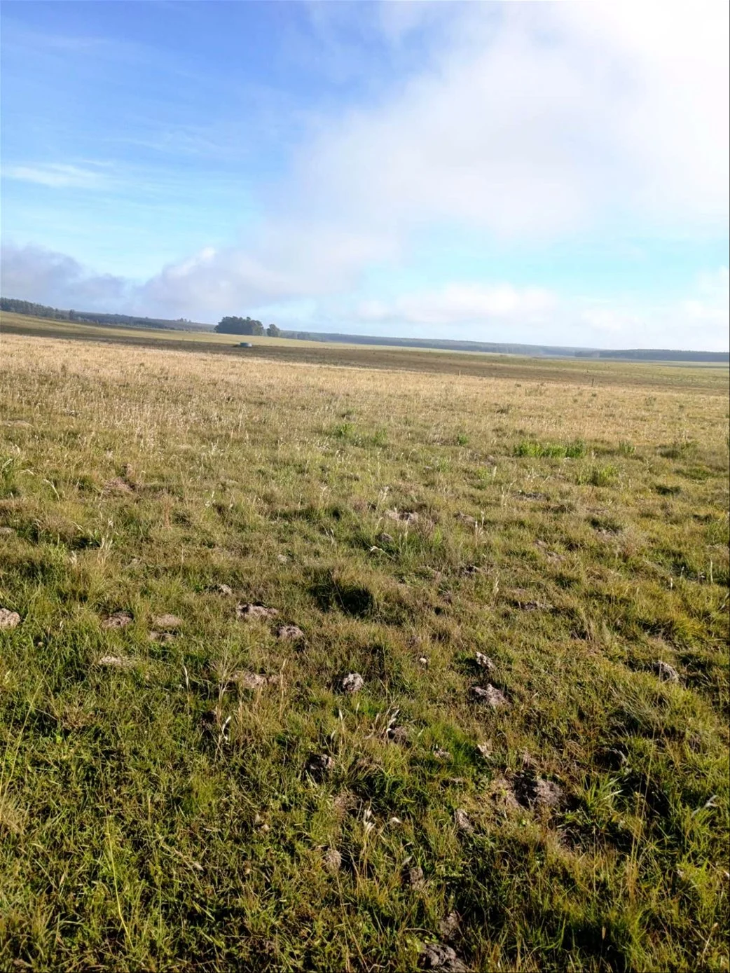 Campo en Piraraja, propiedad 285508 -Imagen 3
