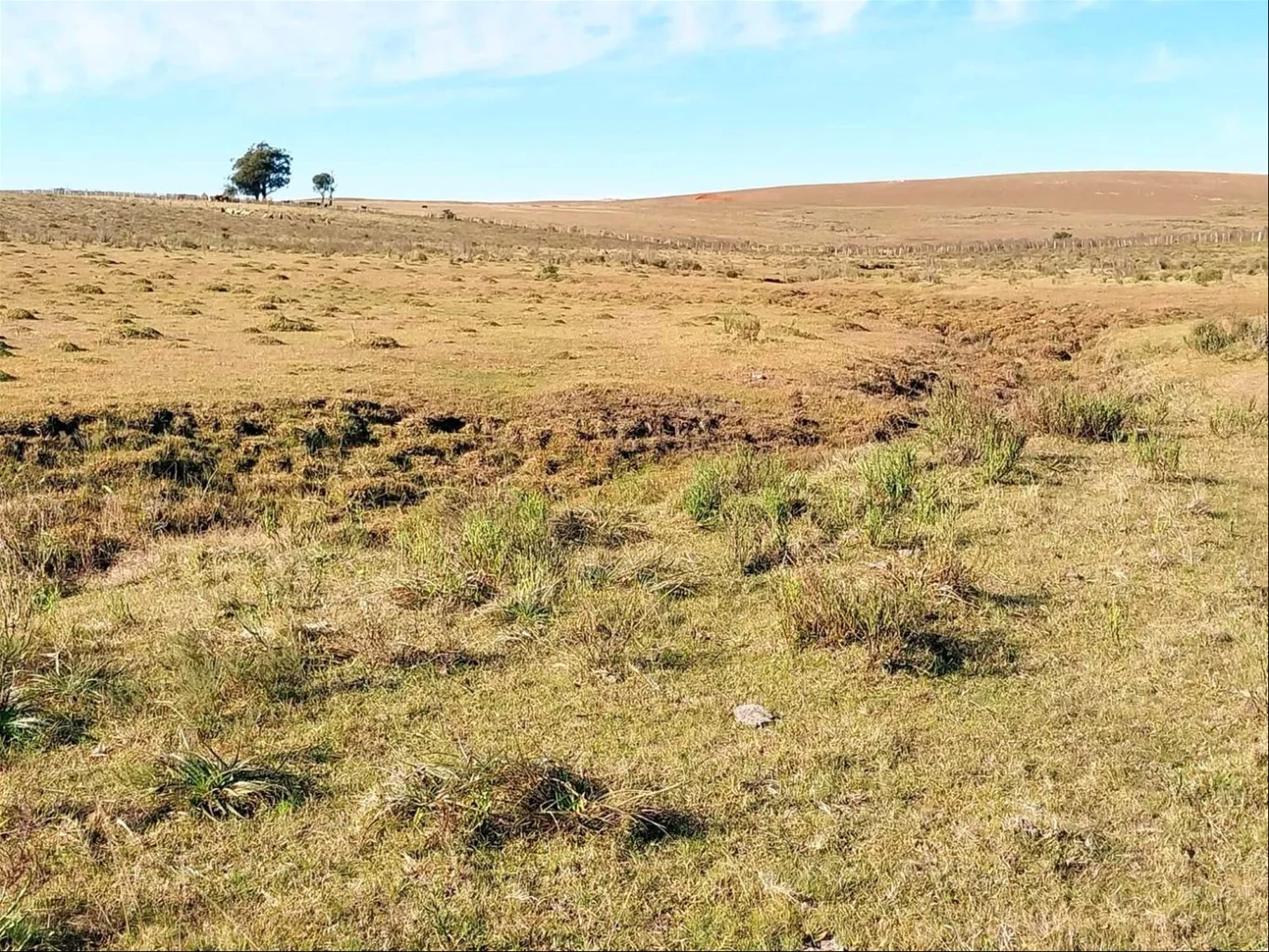 Campo en Piraraja, propiedad 285508 -Imagen 4