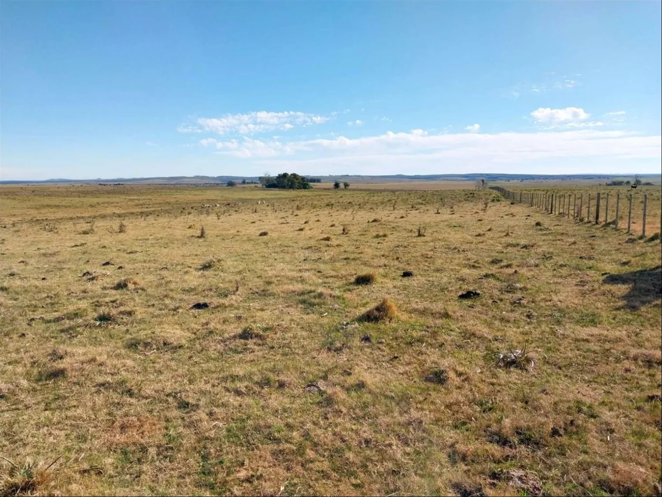 Chacra en Piraraja, propiedad 285577 -Imagen 3