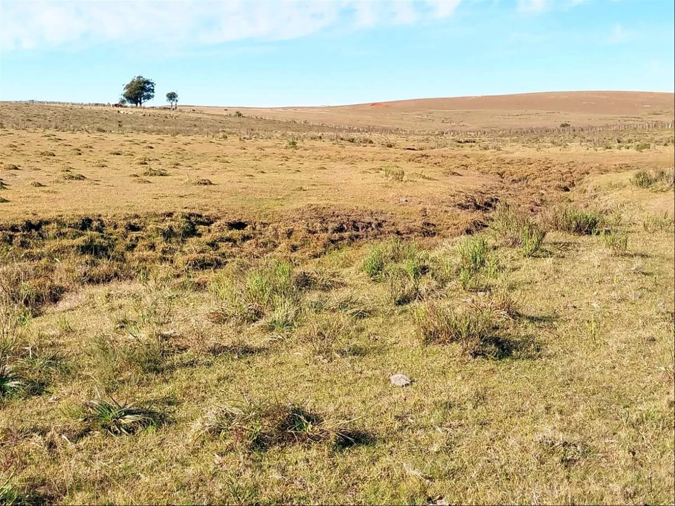 Chacra en Piraraja, propiedad 285577 -Imagen 4