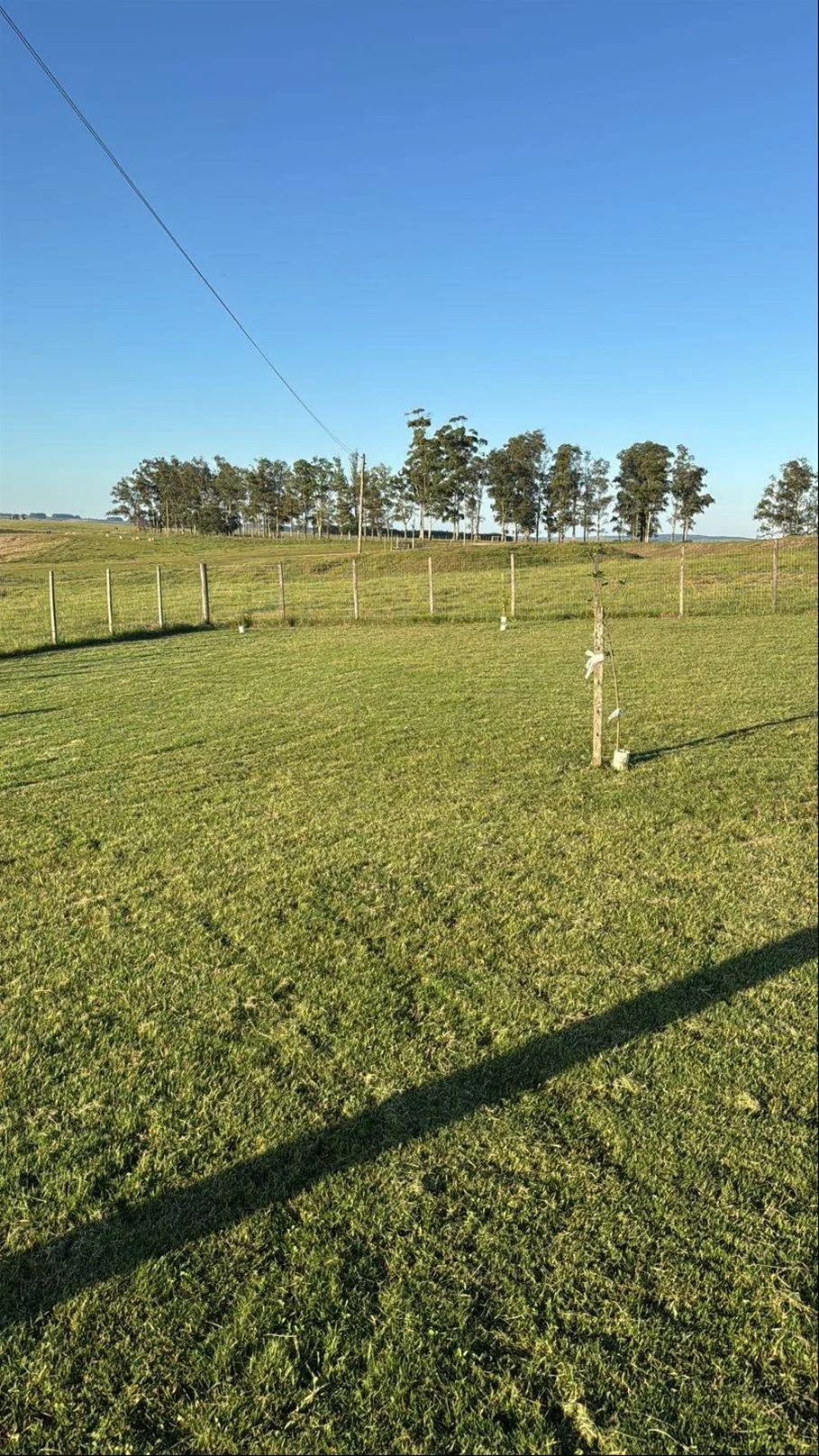 Campo en Piraraja, propiedad 285579 -Imagen 2