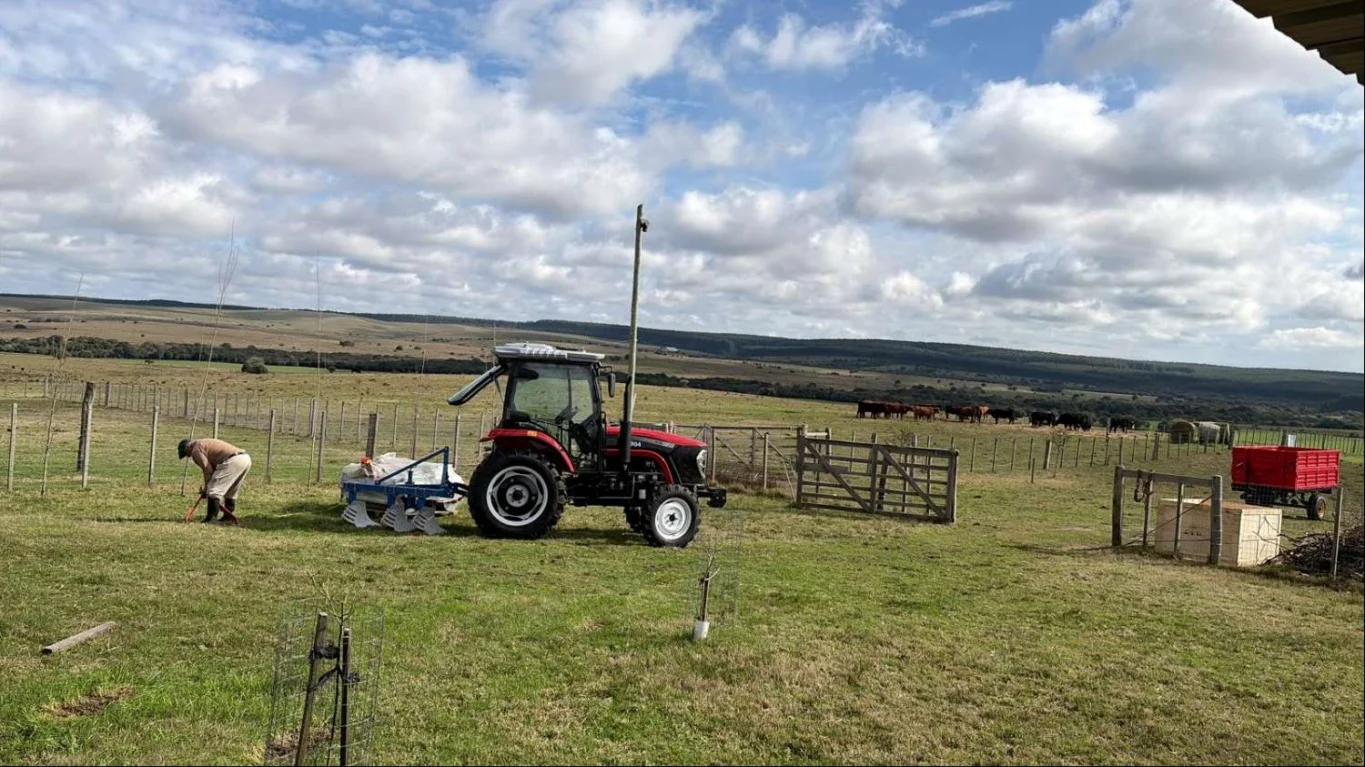 Campo en Piraraja, propiedad 285579 -Imagen 6