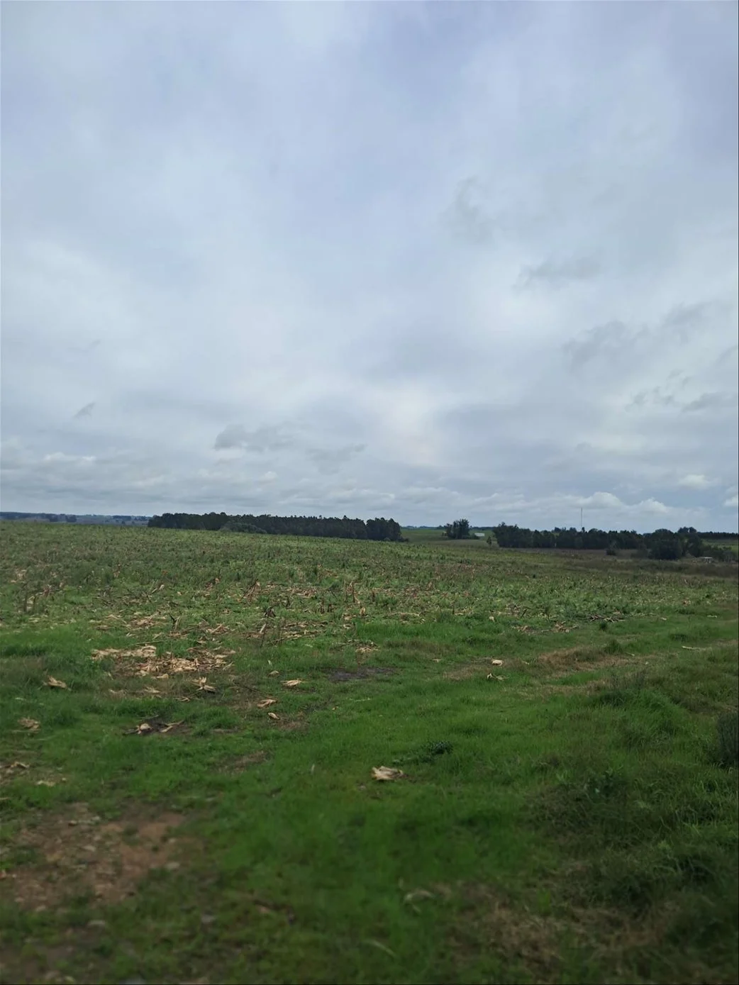 Campo en Migues, propiedad 289446 -Imagen 3