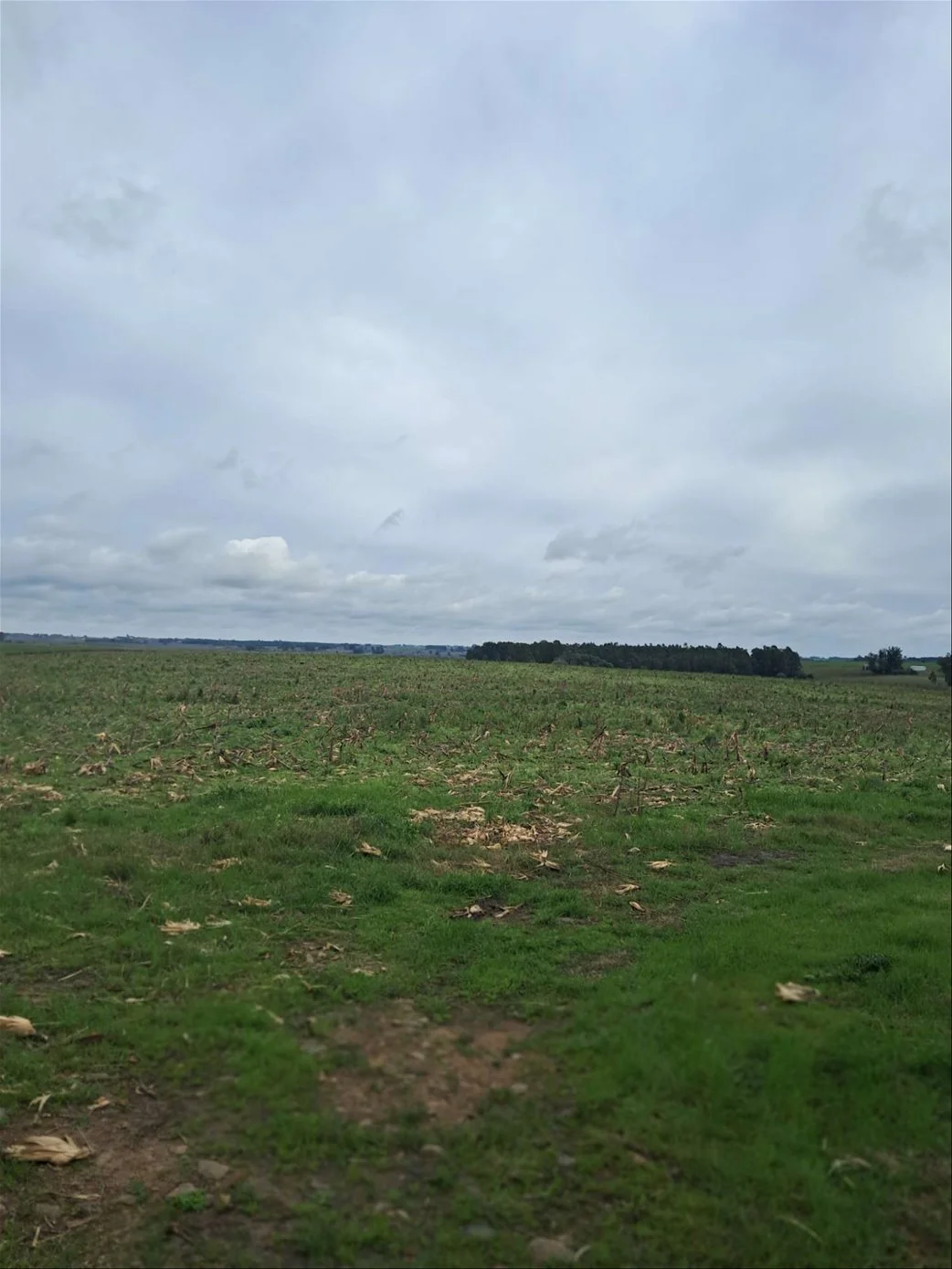 Campo en Migues, propiedad 289446 -Imagen 5