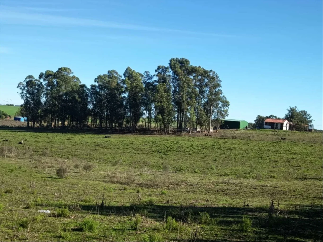 Chacra en Villa del Rosario, propiedad 289452 -Imagen 3