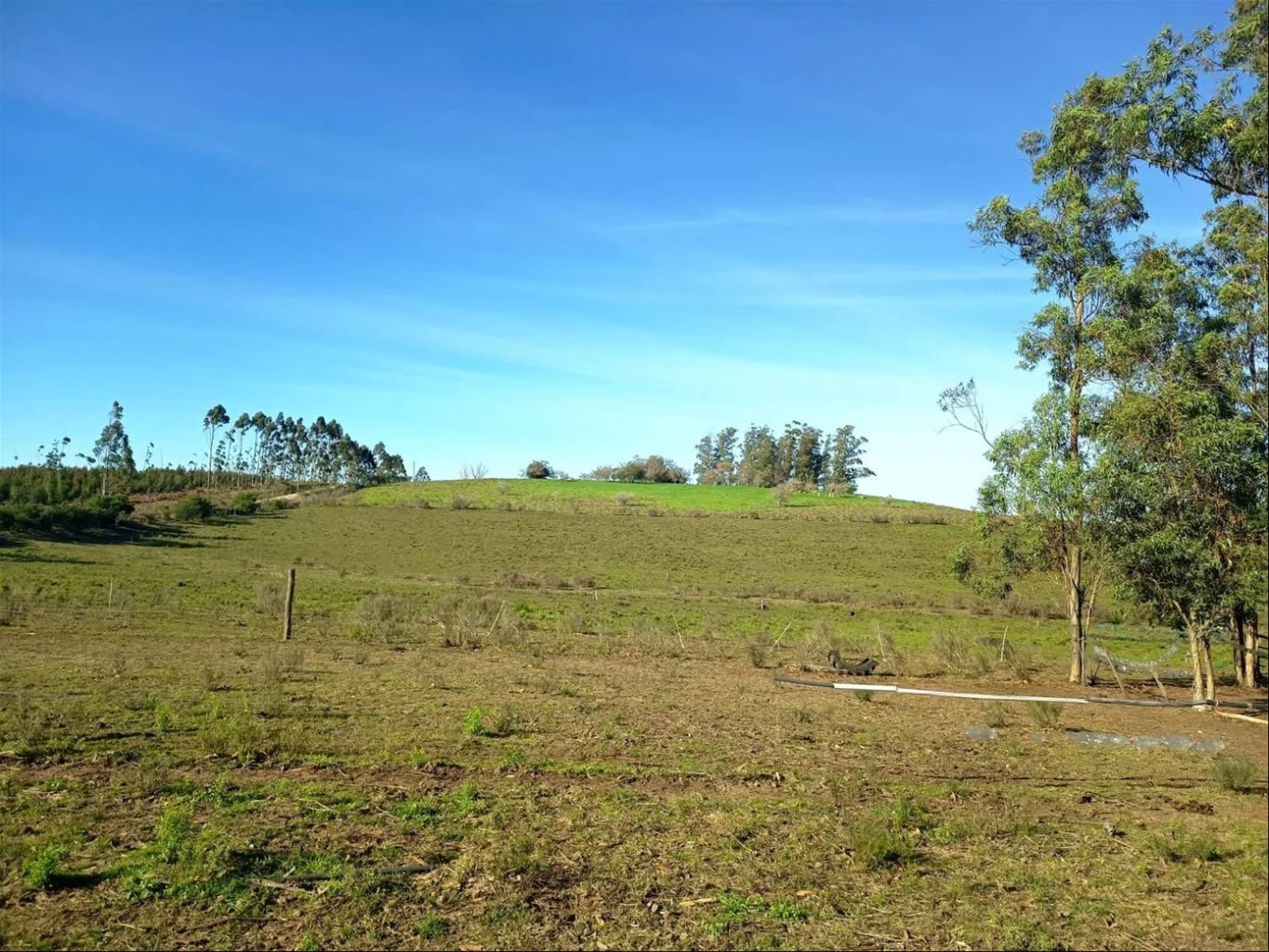 Chacra en Villa del Rosario, propiedad 289452 -Imagen 4