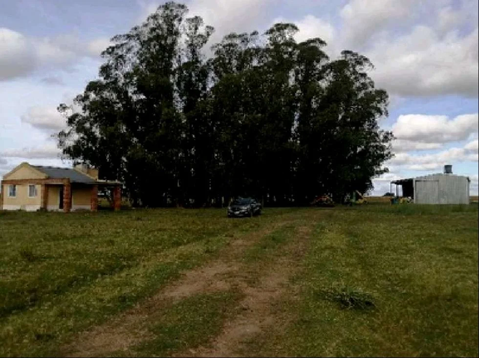 Campo en Migues, propiedad 289599 -Imagen 6