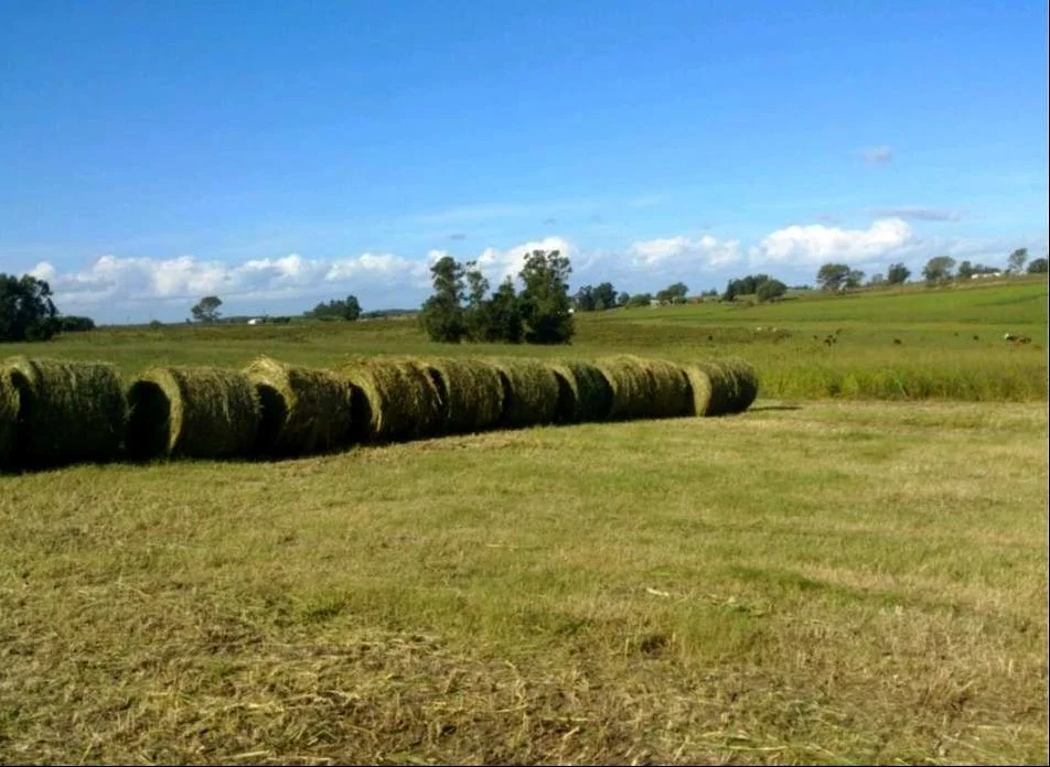 Campo en Migues, propiedad 289599 -Imagen 7