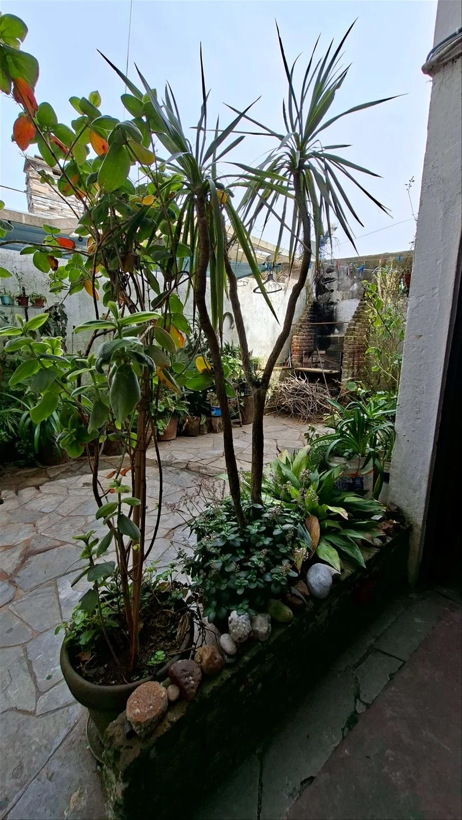 Apartamento en Malvín, propiedad 293724 -Imagen 3