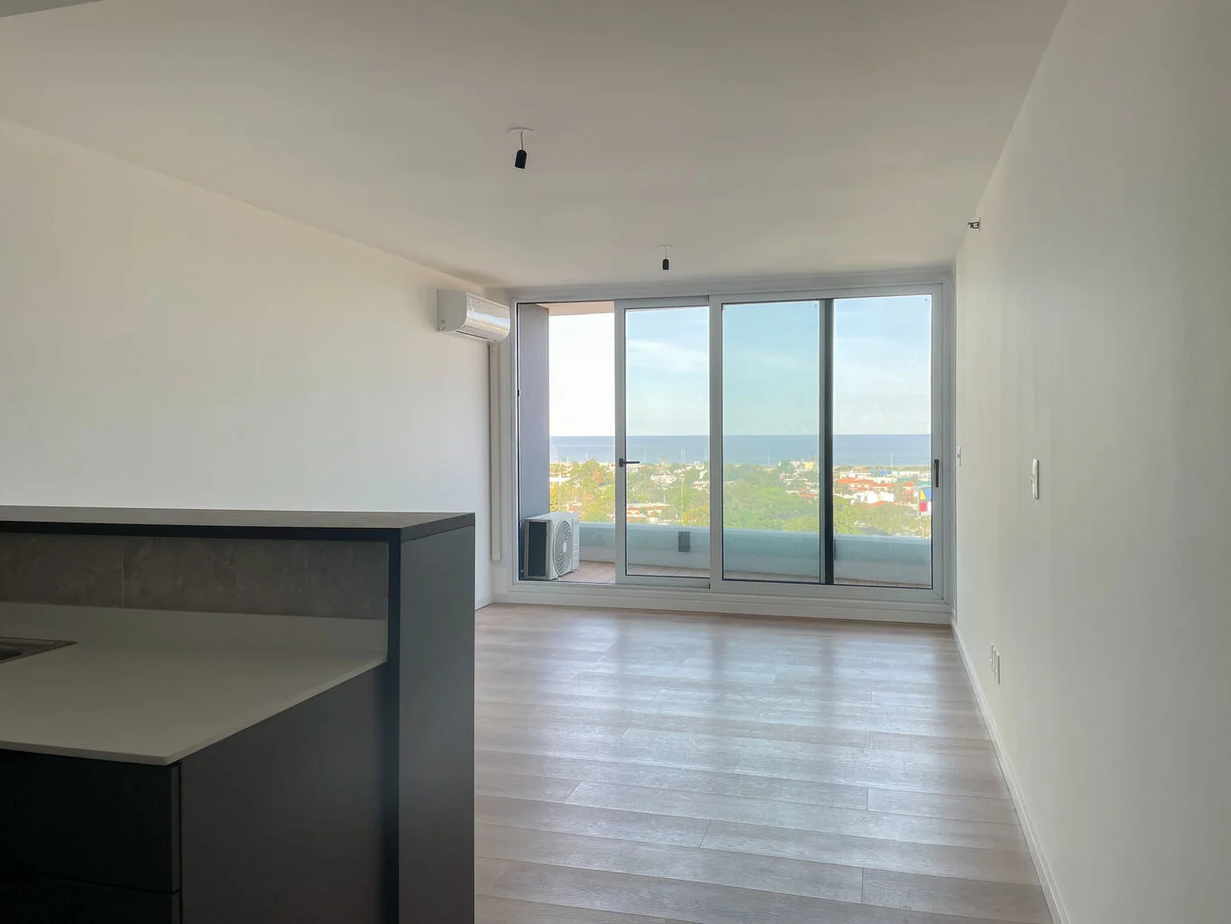 Apartamento en Av. de las Americas, propiedad 178324 -Imagen 1