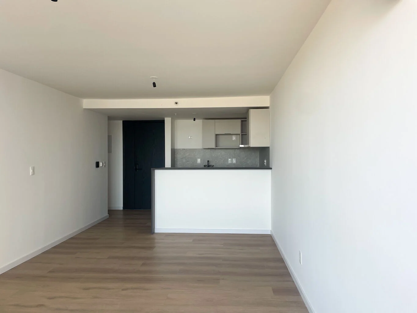 Apartamento en Av. de las Americas, propiedad 178324 -Imagen 3