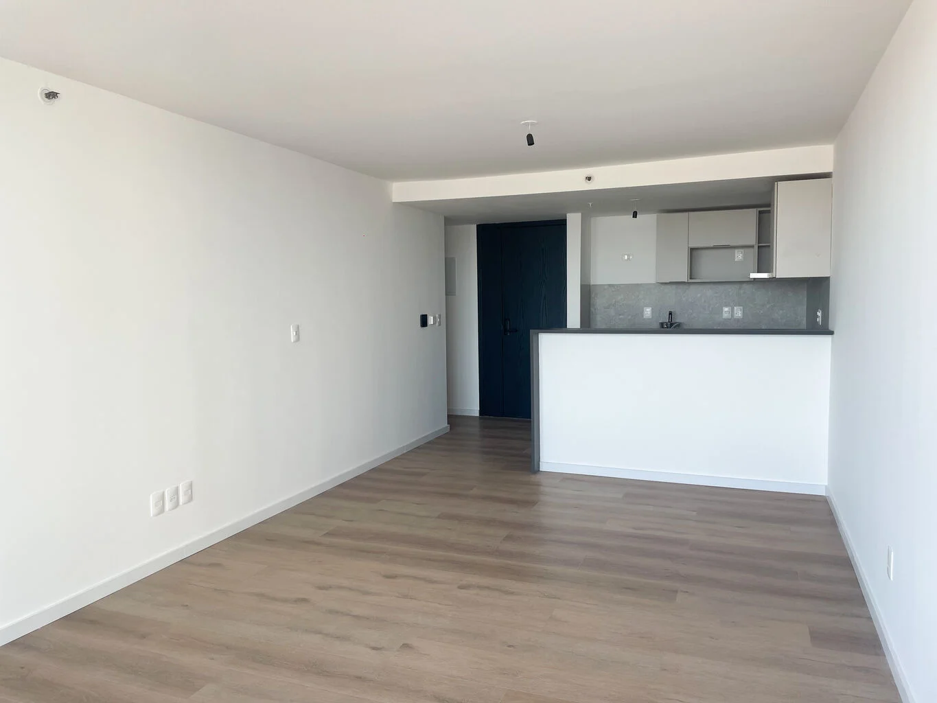 Apartamento en Av. de las Americas, propiedad 178324 -Imagen 4