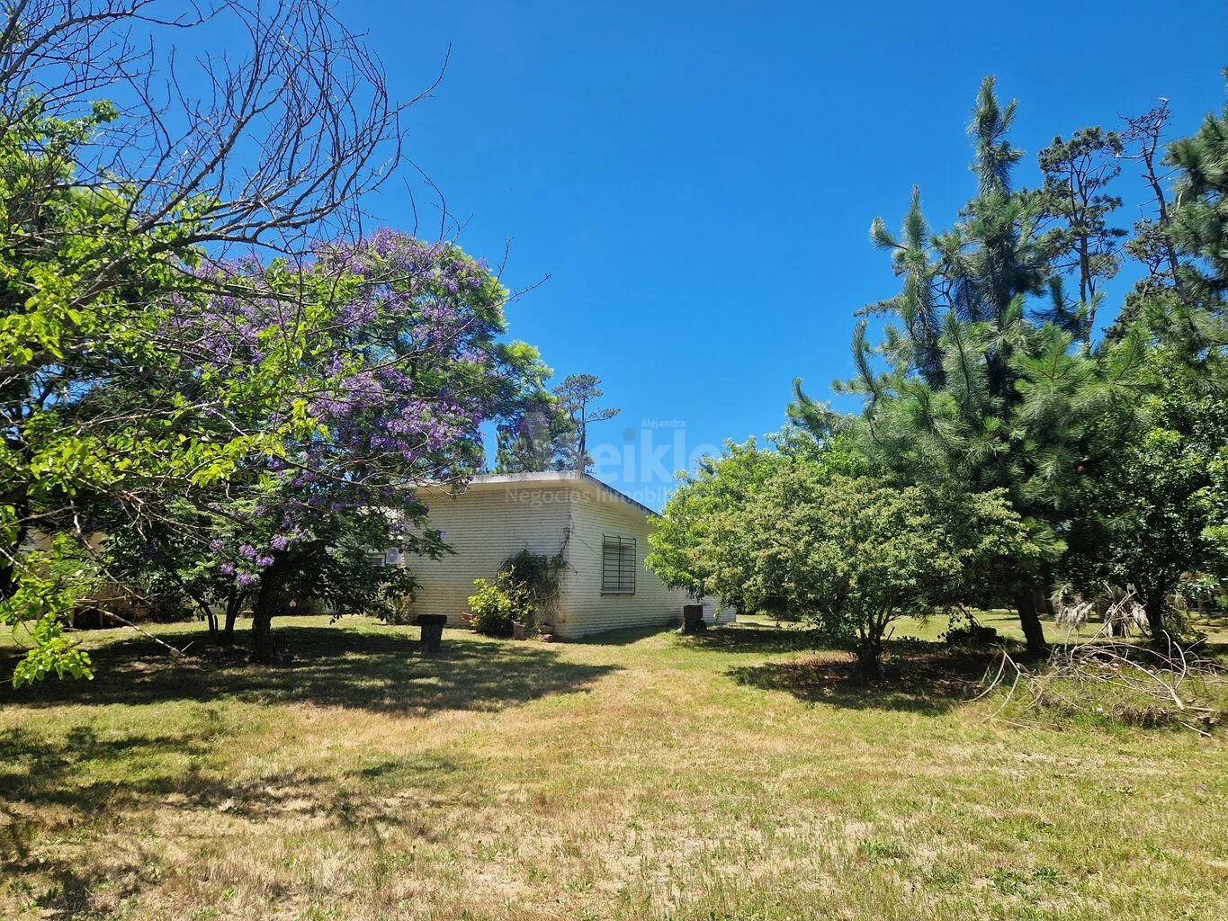 Casa en El Pinar, propiedad 106259 -Imagen 7