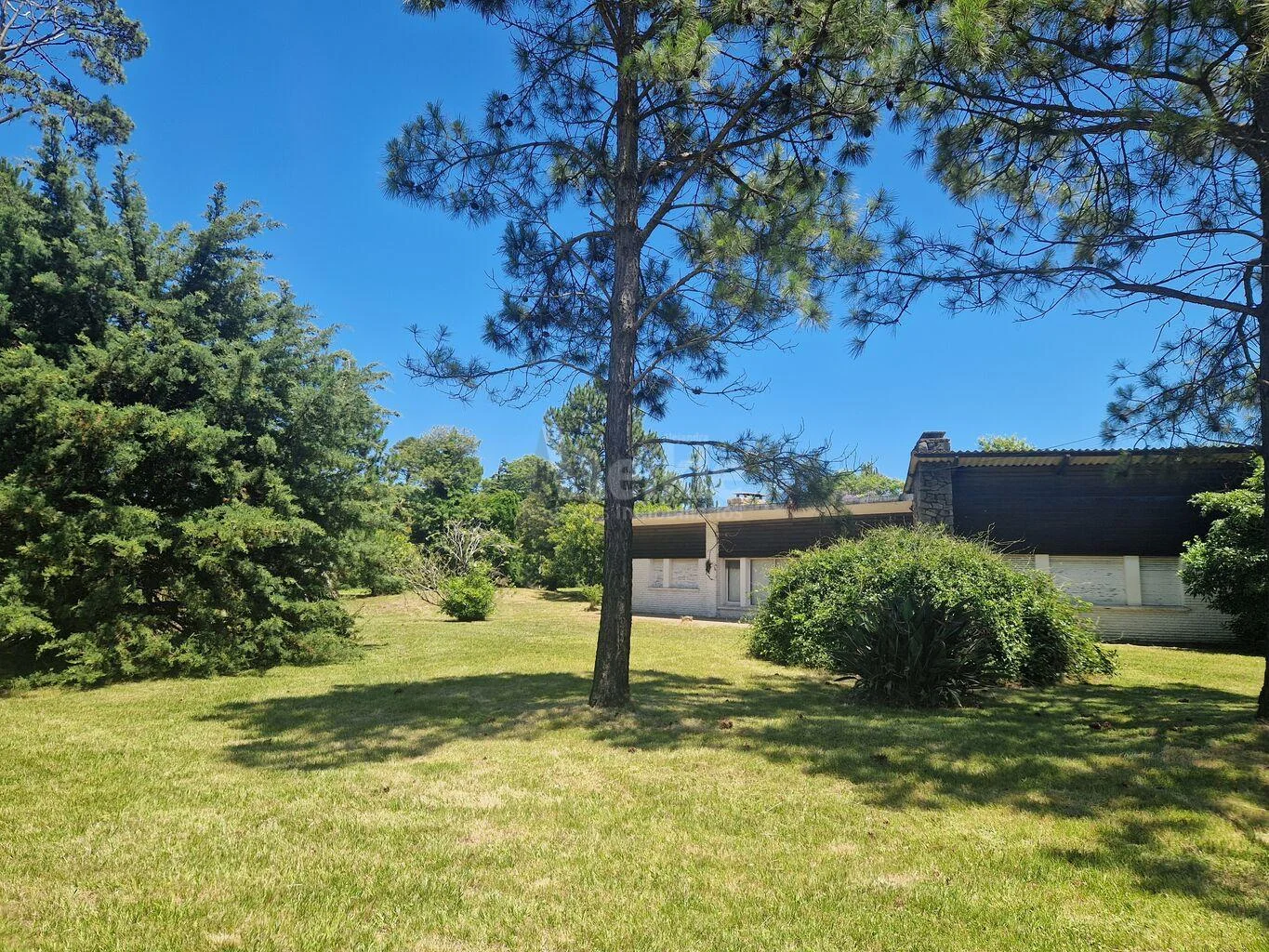 Casa en El Pinar, propiedad 106259 -Imagen 3
