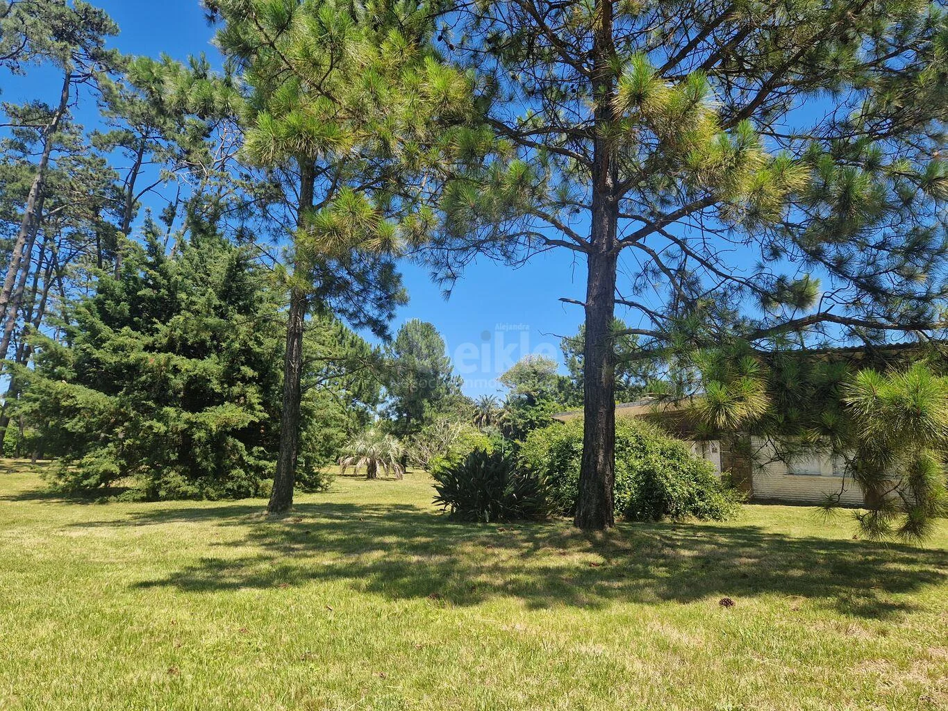 Casa en El Pinar, propiedad 106259 -Imagen 4