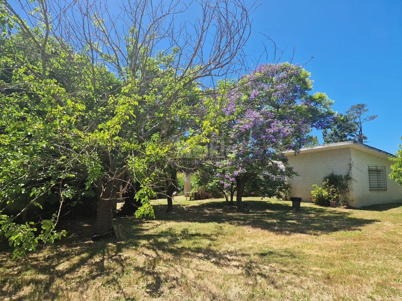 Casa en El Pinar, propiedad 106259 -Imagen 6