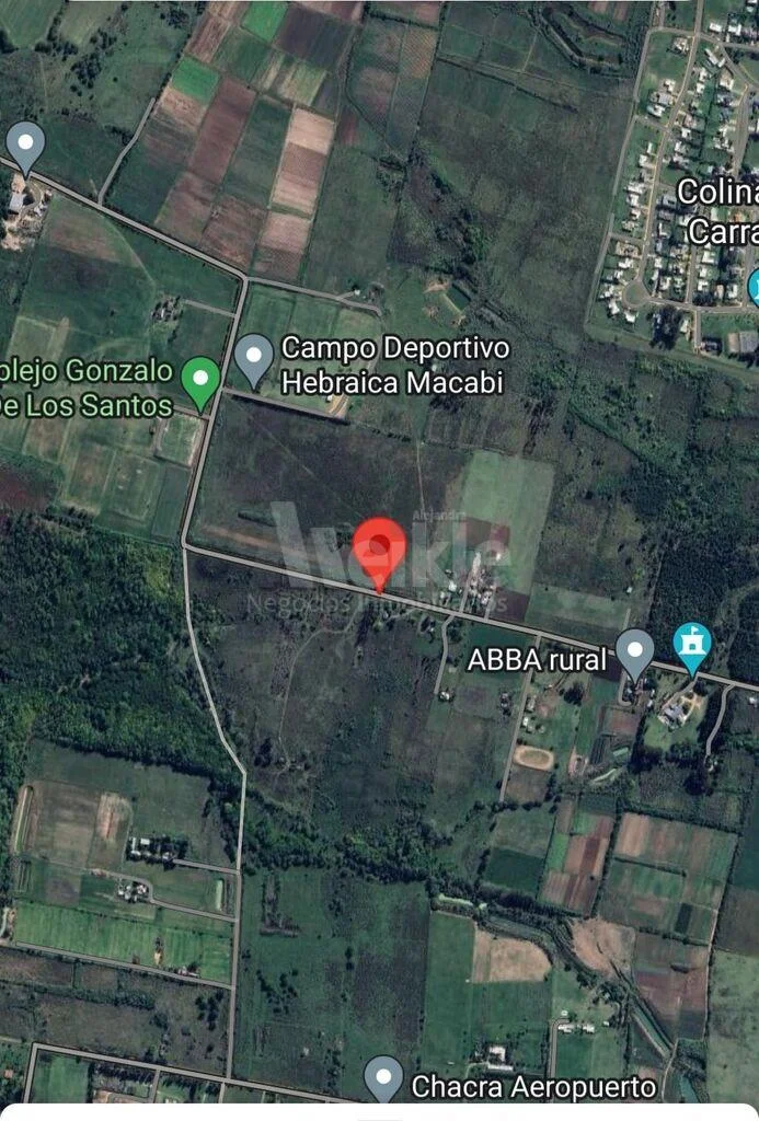 Chacra en Ruta 101, propiedad 111006 -Imagen 1