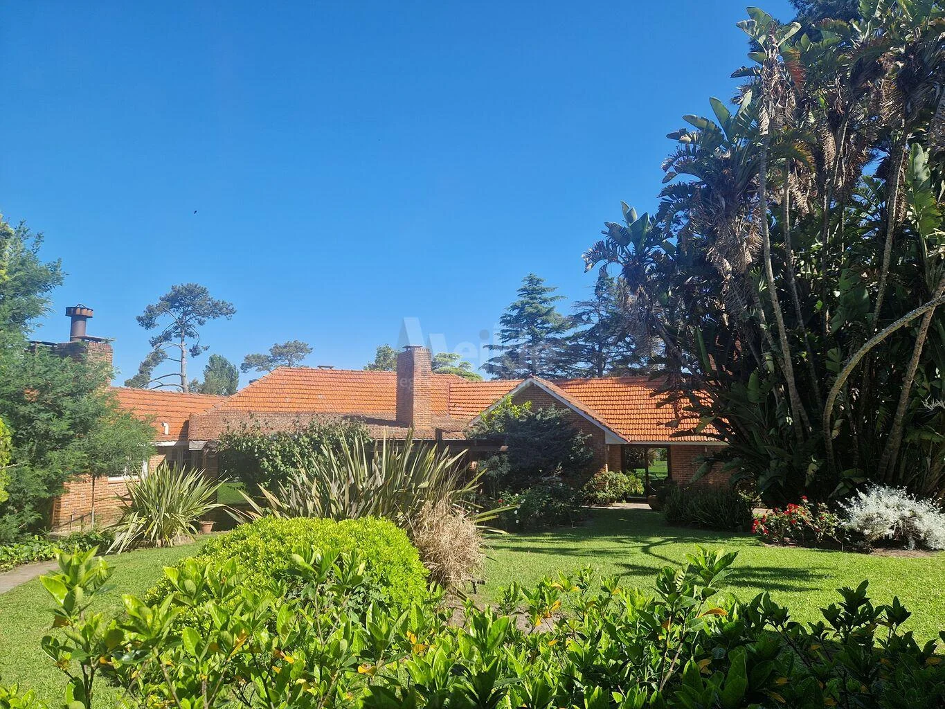 Casa en El Pinar, propiedad 150552 -Imagen 1