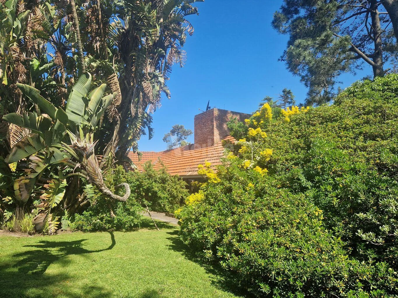Casa en El Pinar, propiedad 150552 -Imagen 22