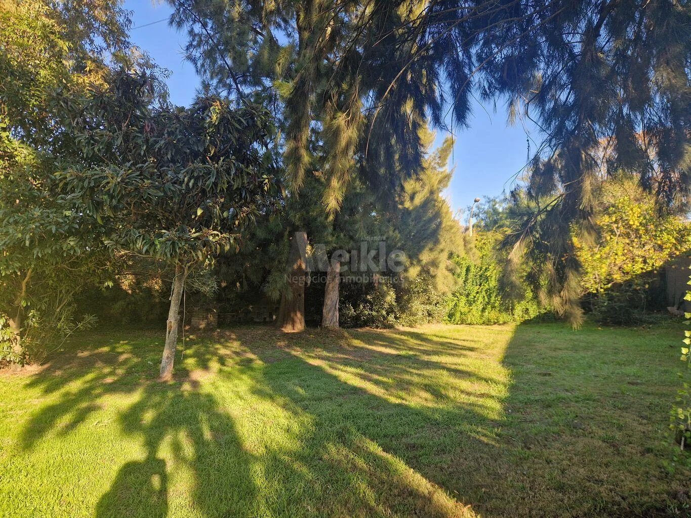Casa en El Pinar, propiedad 191845 -Imagen 4