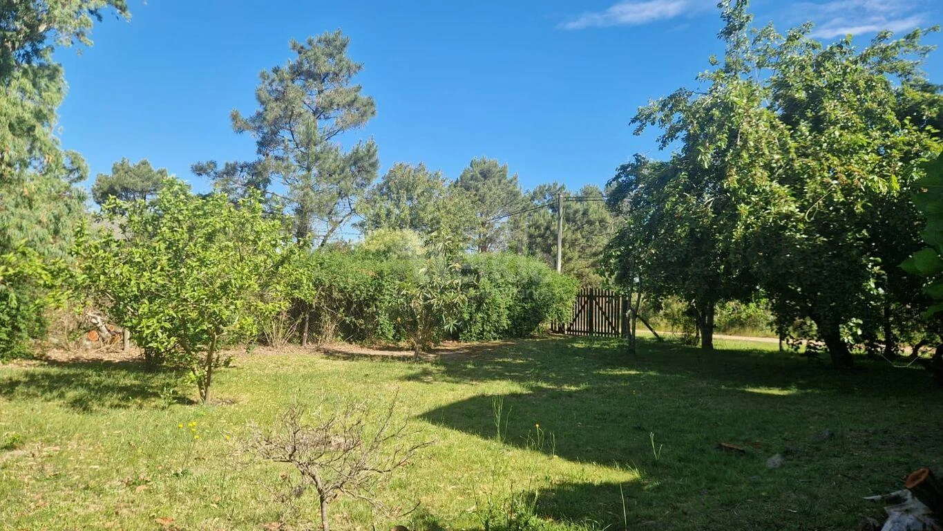 Casa en El Pinar, propiedad 228039 -Imagen 21