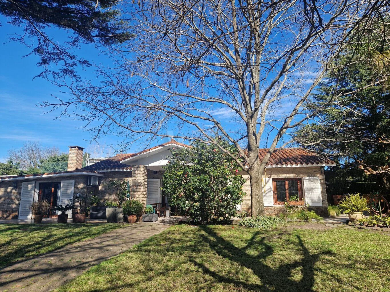 Casa en El Pinar, propiedad 256245 -Imagen 4