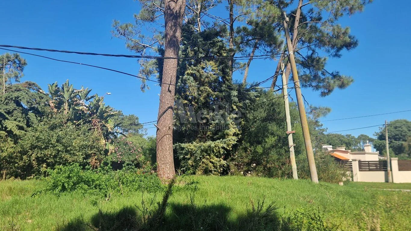 Terreno en El Pinar, propiedad 263954 -Imagen 3