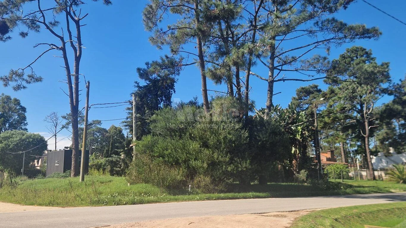 Terreno en El Pinar, propiedad 263954 -Imagen 4