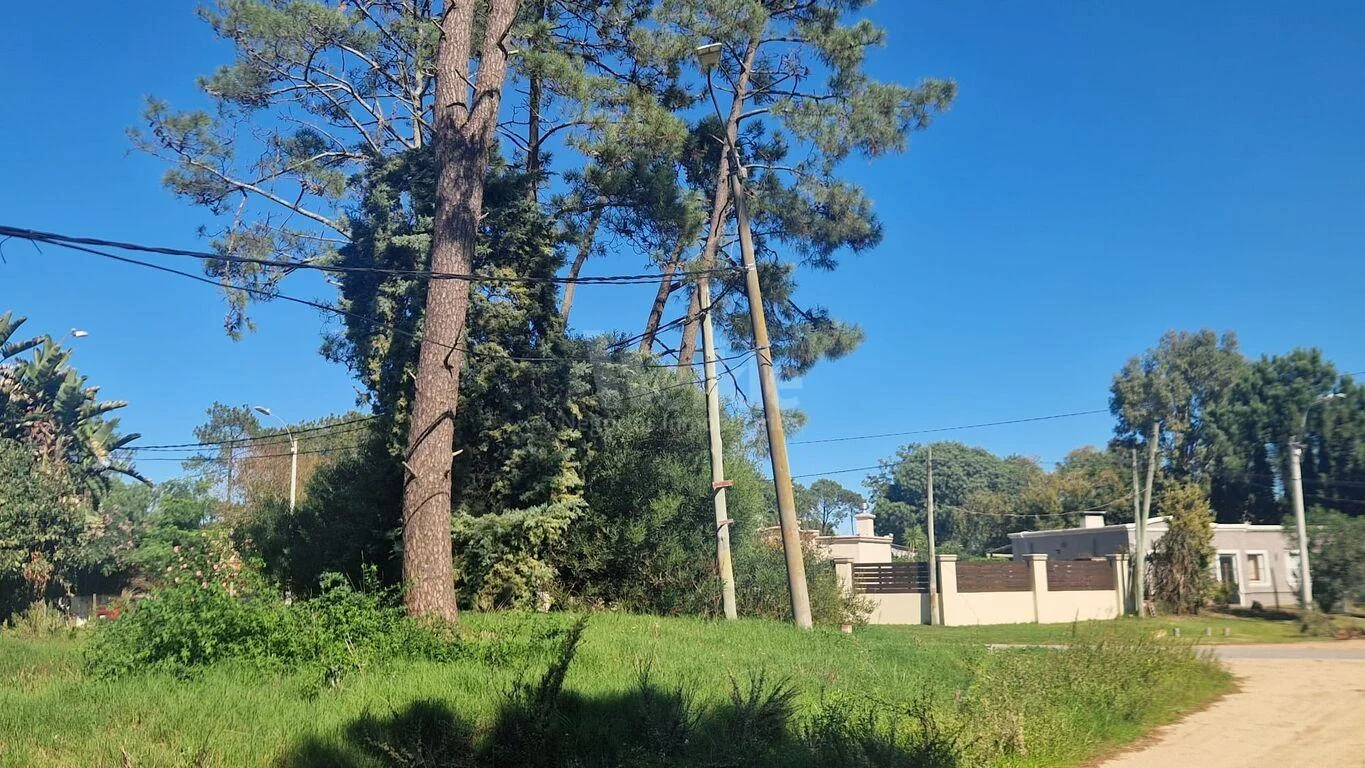 Terreno en El Pinar, propiedad 263954 -Imagen 5