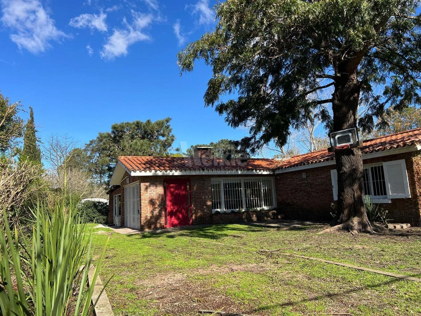 Casa en El Pinar, propiedad 286174 -Imagen 17
