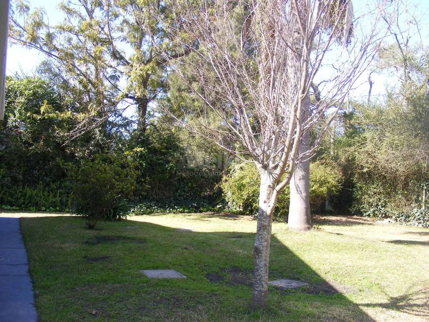 Casa en El Pinar, propiedad 287400 -Imagen 10