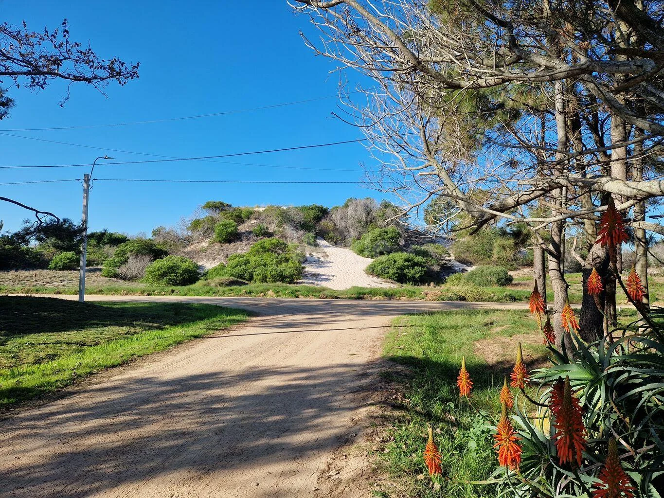 Casa en El Pinar, propiedad 291153 -Imagen 12