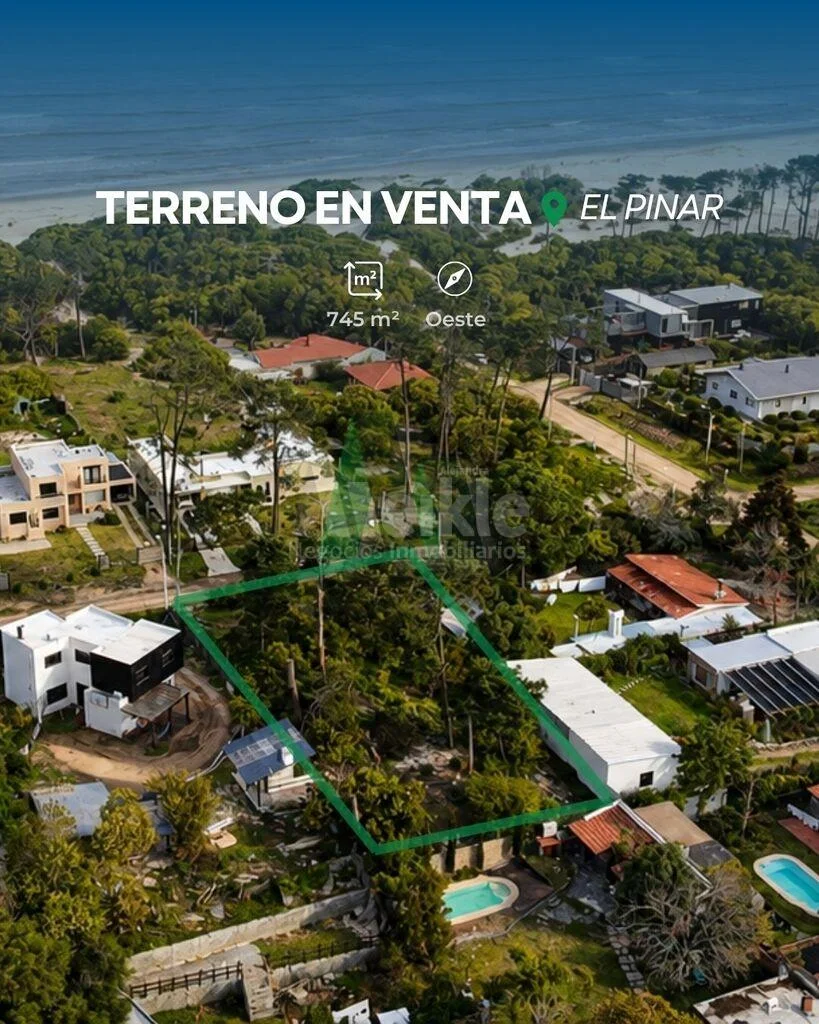 Terreno en El Pinar, propiedad 293368 -Imagen 3