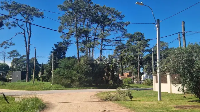 imagen  de la propiedad 263954