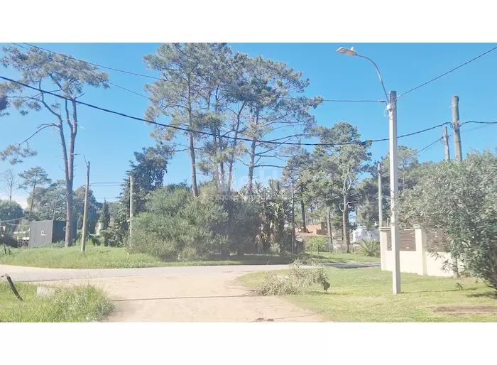 imagen  de la propiedad 263954