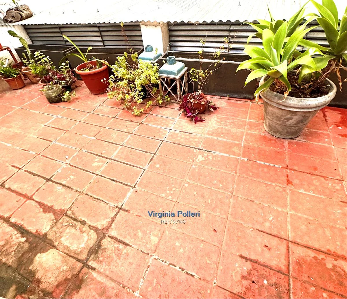 Apartamento en Pocitos, propiedad 5079 -Imagen 11