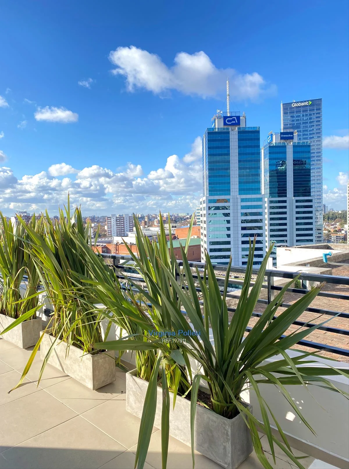 Apartamento en Pocitos, propiedad 5081 -Imagen 11