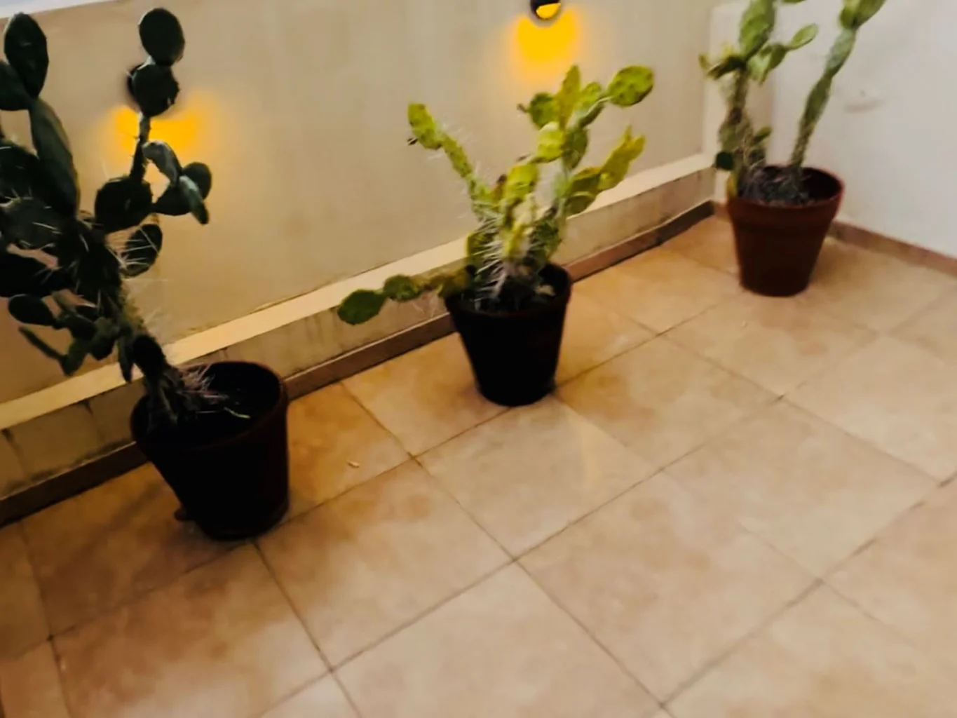 Apartamento en Punta Carretas, propiedad 94334 -Imagen 11