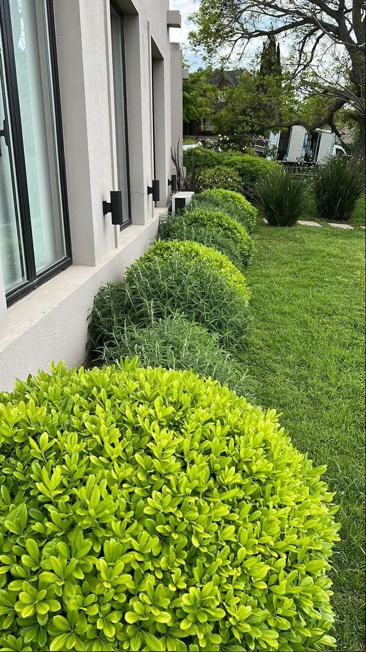 Casa en Barrios Privados, propiedad 252762 -Imagen 12