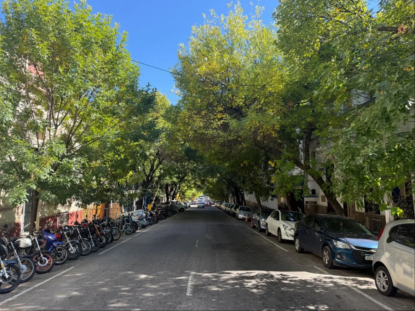 Depósito en Cordón, propiedad 277740 -Imagen 13