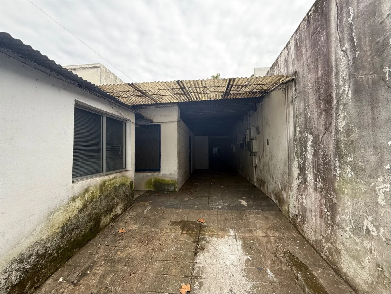Depósito en Cordón, propiedad 277740 -Imagen 9
