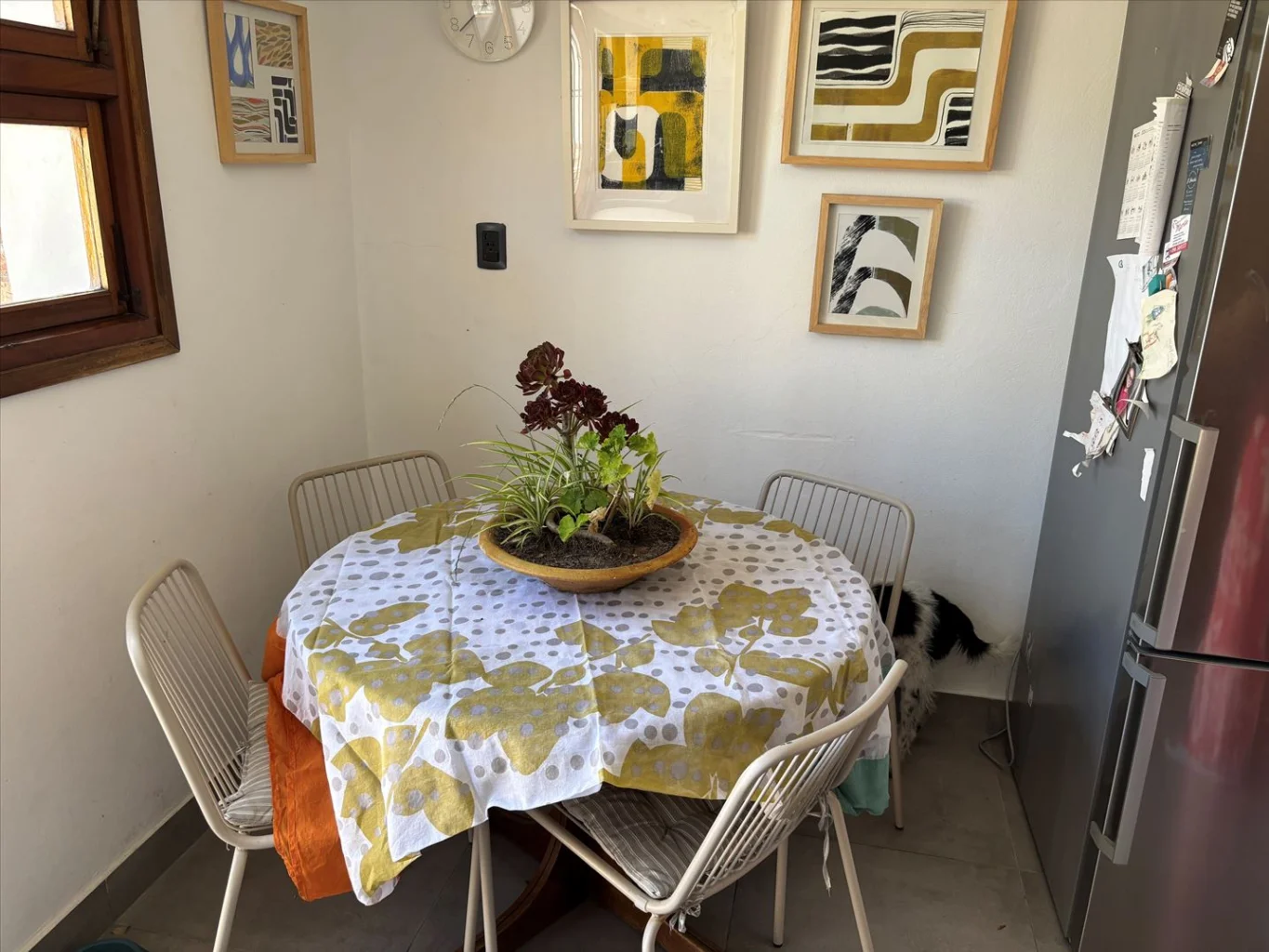 Casa en Punta Gorda, propiedad 283583 -Imagen 12