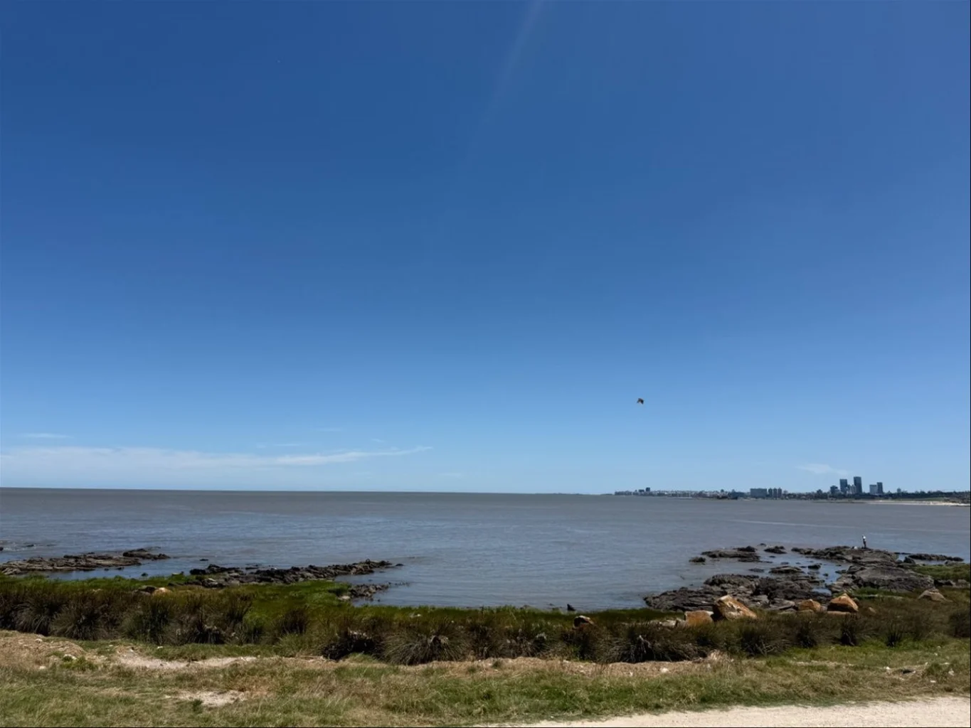 Casa en Punta Gorda, propiedad 287879 -Imagen 19