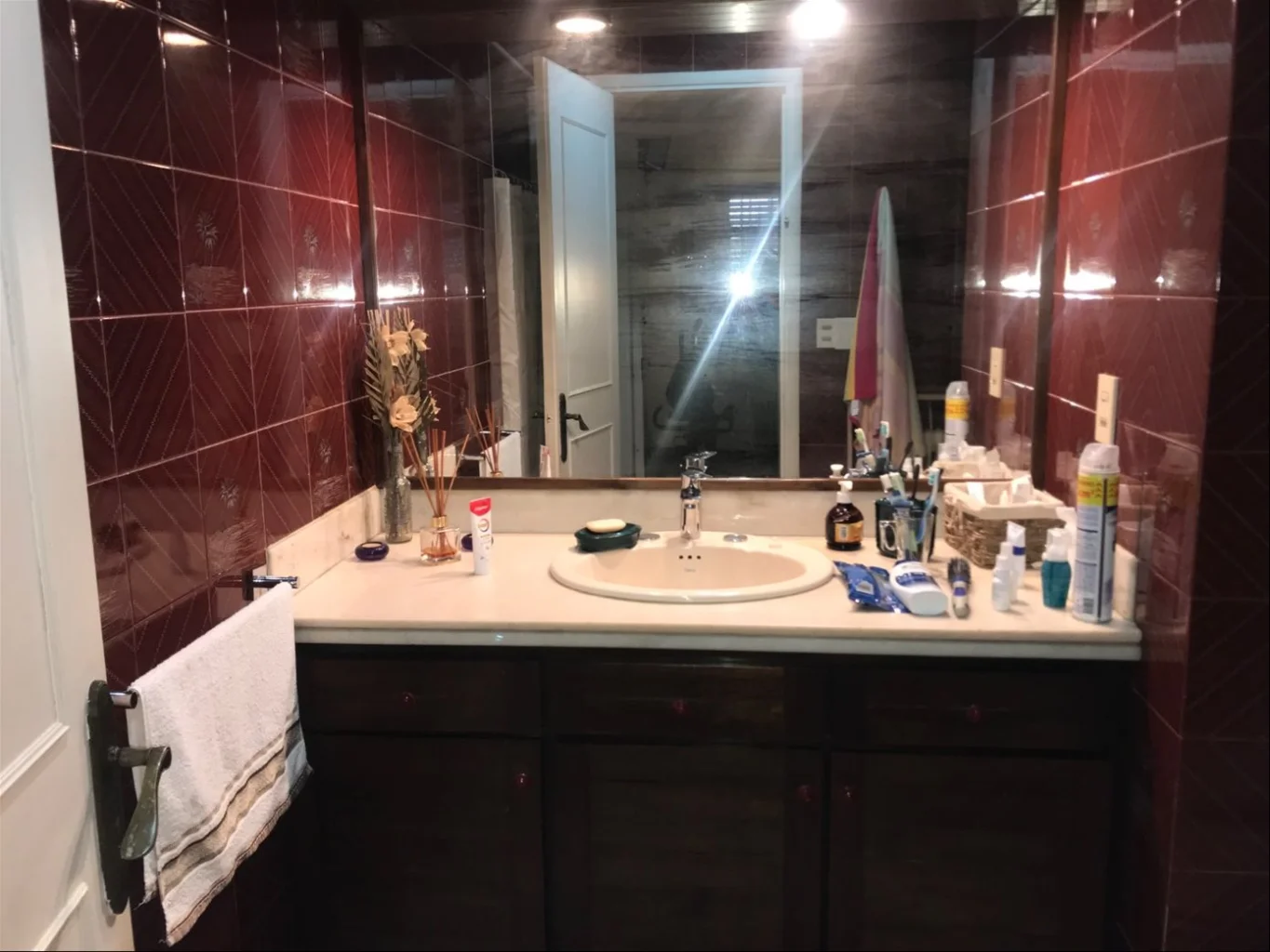 Casa en Punta Gorda, propiedad 287885 -Imagen 14