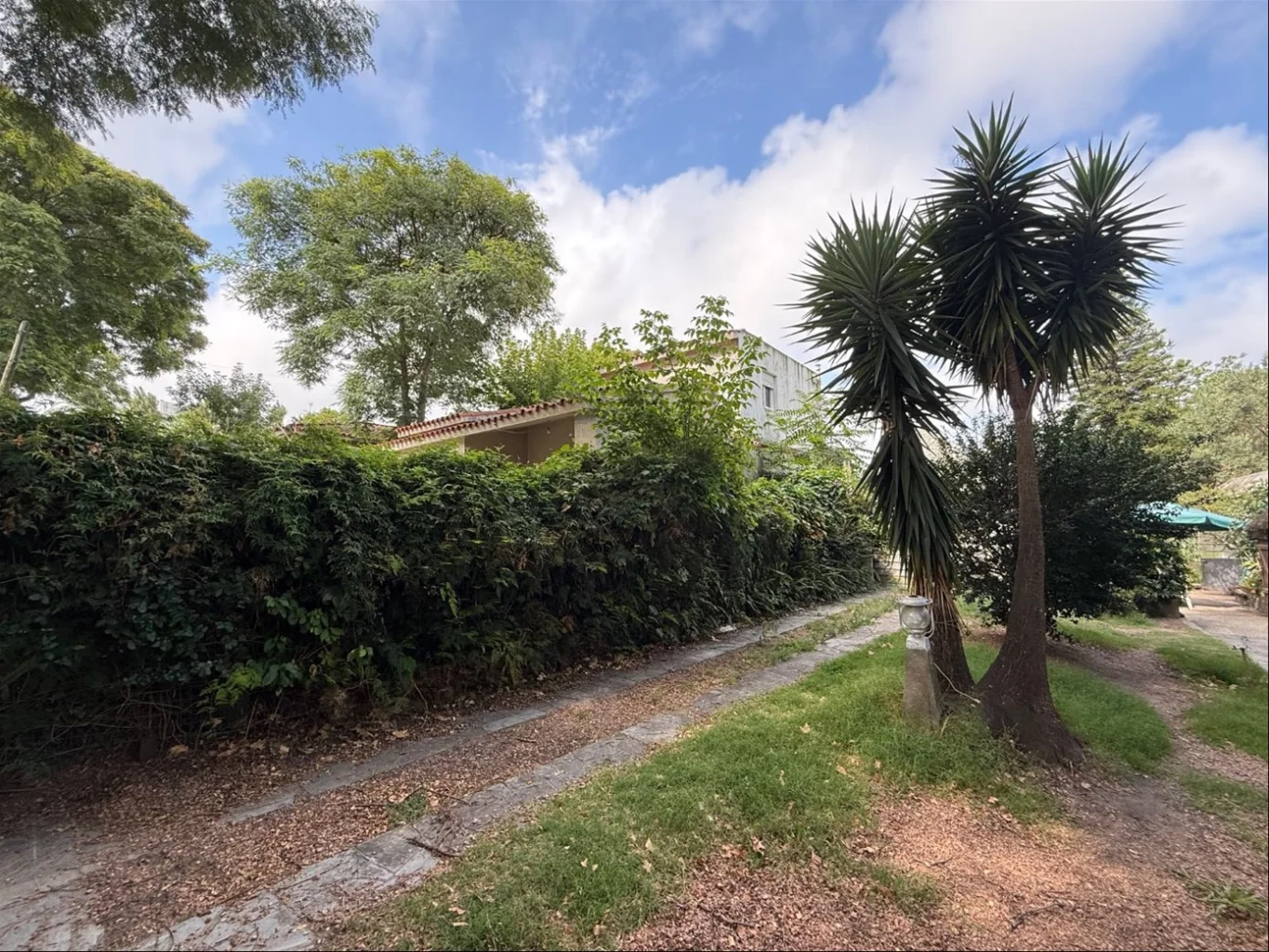Casa en Punta Gorda, propiedad 287891 -Imagen 16
